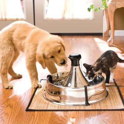 I LOVE MY PETS LLC cat Urinary Health Treats - PET Urinary Tract Support - Dogs and Cats - UTI Relief Complex - Cranberry for Cats - 180 Treats (2 Bottles)