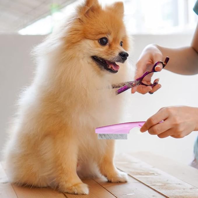 Multifunctional Magic Tear Stain Removal Comb, 2024 New Fine-Tooth Stainless Massage Comb Kit for Small Dogs and Puppies (Blue)