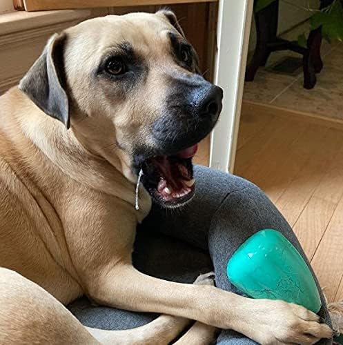 Chew King by Mammoth Premium Treat Dispensing Dog Toy, Durable Natural Rubber Chew Toy, Safety Air Vent, Interactive Enrichment Toy for Aggressive Chewers, XL Pack of 2- Teal