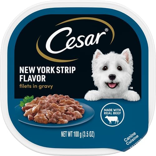 Cesar Adult Soft Wet Dog Food Filets in Gravy, New York Strip Flavor, 3.5 oz. Tray (Pack of 4)