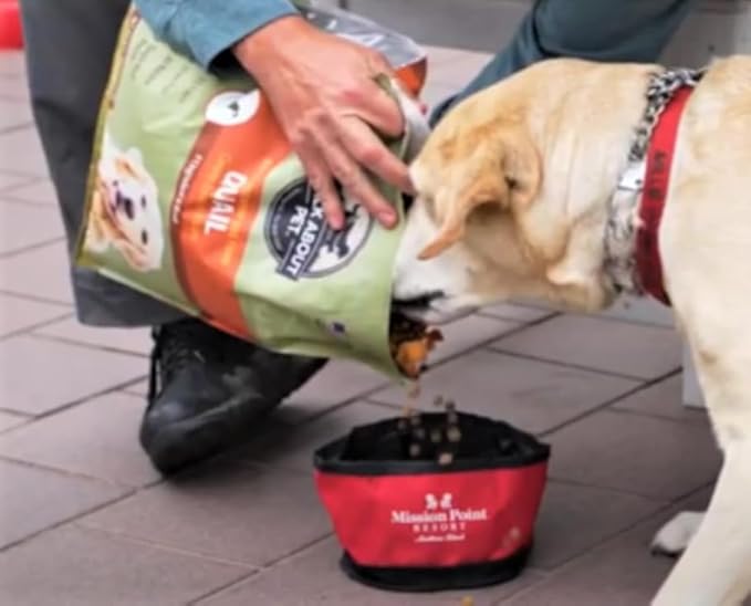 Walk About Pet, WA10038, Super Premium Canine Exotics Dog Food, Dry Alkaline Kibble, Vegan Recipe, Grain-Free, Gluten-Free, Single Source Protein, 25-Pound Bag