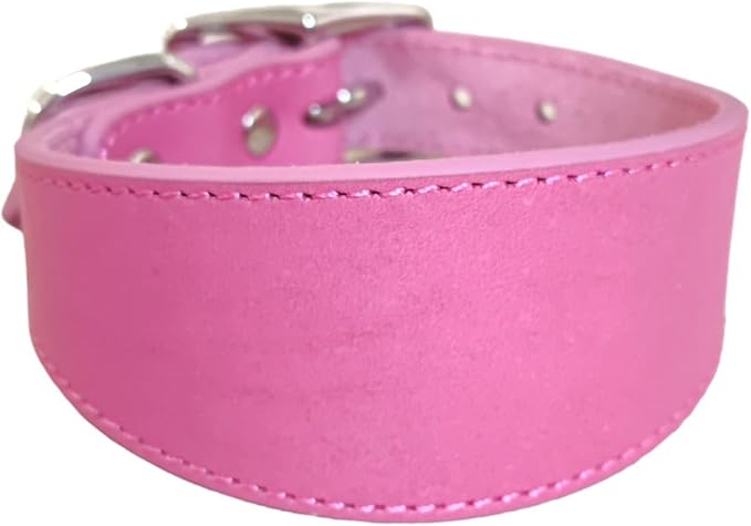 Leathers Collar for Salukis Sighthounds Breeds Adjustable Dogs Pet Supply Whippets Lurcher Sighthounds