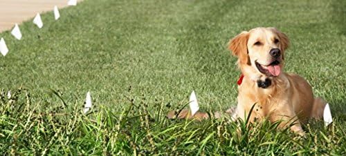 Professional Grade Maximum Duty Electric Dog Fence Wire - Compatible with All Wired Electric Pet Fence Systems - 1000 Feet