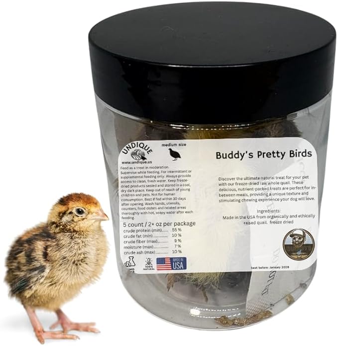 Undique Whole Quail for Carnivore Pets - Natural Prey Feeding - Quality Protein Source Medium Size Chicks 5 Count