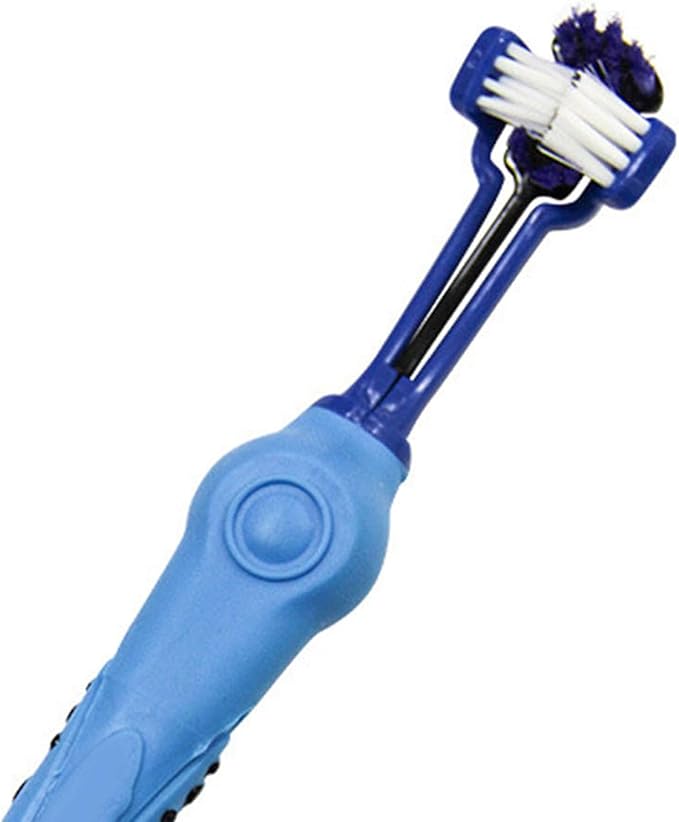 aqxreight 3 Sided Pet Toothbrush Multi Angle Dog Cat Toothbrush Pet Supplies for Oral Thoroughly Clean Pre 3 Sided Toothbrush3 Dog ToothbrushPet ToothbrushDog ToothbrushDog and (Green) (Blue)