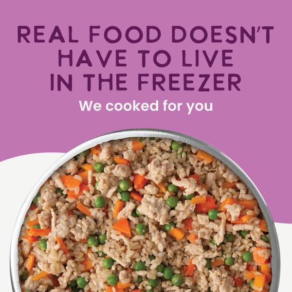 Health Extension Gently Cooked Chicken & Pumpkin Dog Food, Human-Grade & Shelf-Stable with Superfoods, Supports Digestion, Immunity, Skin & Coat, 9 oz Pouch (Pack of 10)
