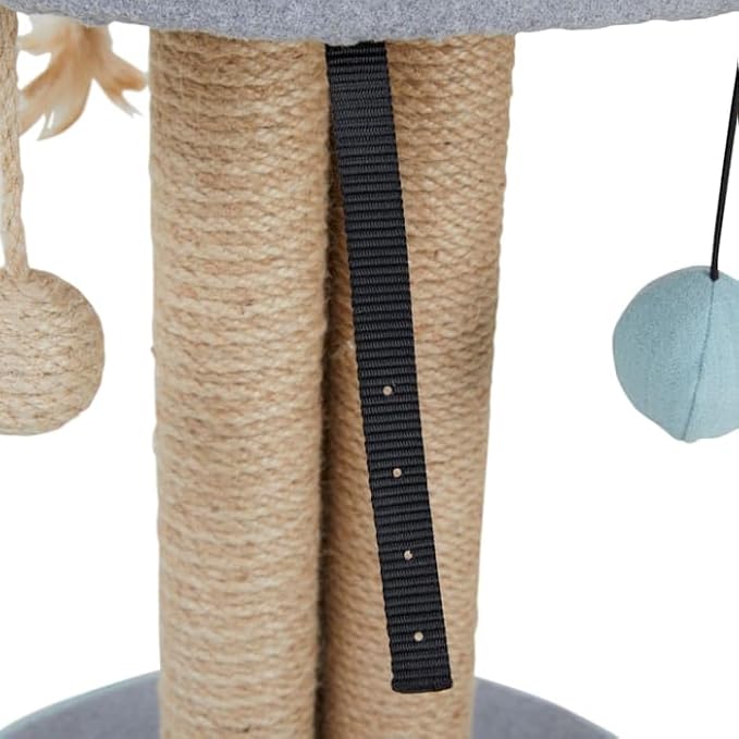 EveryYay by Petco Scratchin' The Surface Cat Scratcher with 3-Sided Play Post, 20.5" H