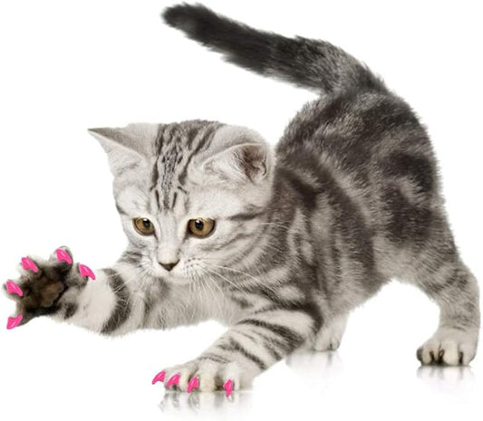 aqxreight 100PCS Pet Cat Soft PVC Nail Cover Claw Wrap Grooming Accessory Cat 2 Pet Scratchin Nail CoverCat CapCat Claw Grooming CoverCat Accessory (XS)