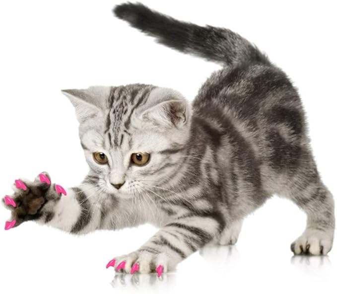 aqxreight 100PCS Pet Cat Soft PVC Nail Cover Claw Wrap Grooming Accessory Cat 2 Pet Scratchin Nail CoverCat CapCat Claw Grooming CoverCat Accessory (XS)