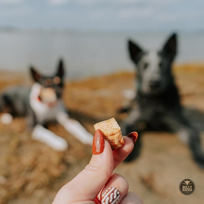 Bully Bunches Freeze Dried Salmon Dog Treats – Made in USA, Human Grade, All Natural Training Treats for Dogs, High Protein Salmon Bites, Healthy Dog Snacks, Grain Free, 3.53 oz