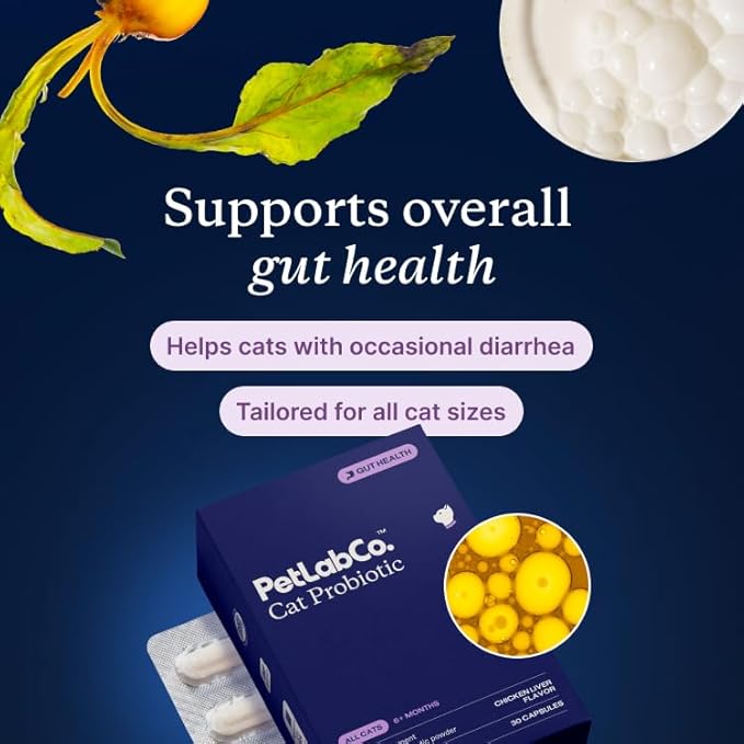 PetLab Co. Probiotics for Cats, Support Gut Health, Occasional Diarrhea, Digestive Health & Immune Support - Easy to Use - 30 Count