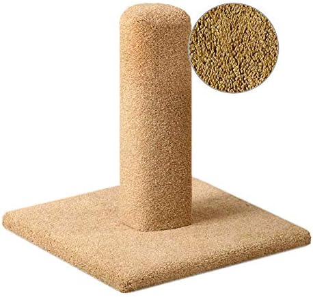 CozyCatFurniture 20, 25 & 30 inches Solid Wood Cat Scratching Posts, Tan Carpet, USA Made (20")