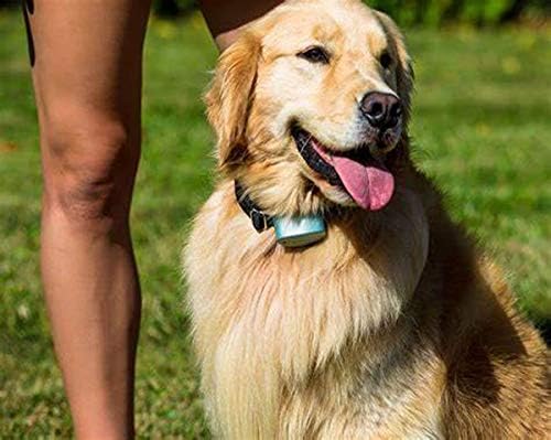 Pet-Fence Compatible for Invisible Fence Battery for Dog Collar, Batteries for Dog Collars Invisible Fence Brand Power Cap R21,R22,R51,Microlite Collars Safe and Durable (10 Pack)