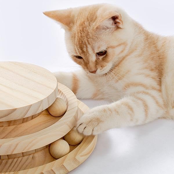 Multi-Functional Cat Scratching Post with Grooming Brush, Cloud Perch & Ball Track – Compact Cat Activity Toy for Small Cats