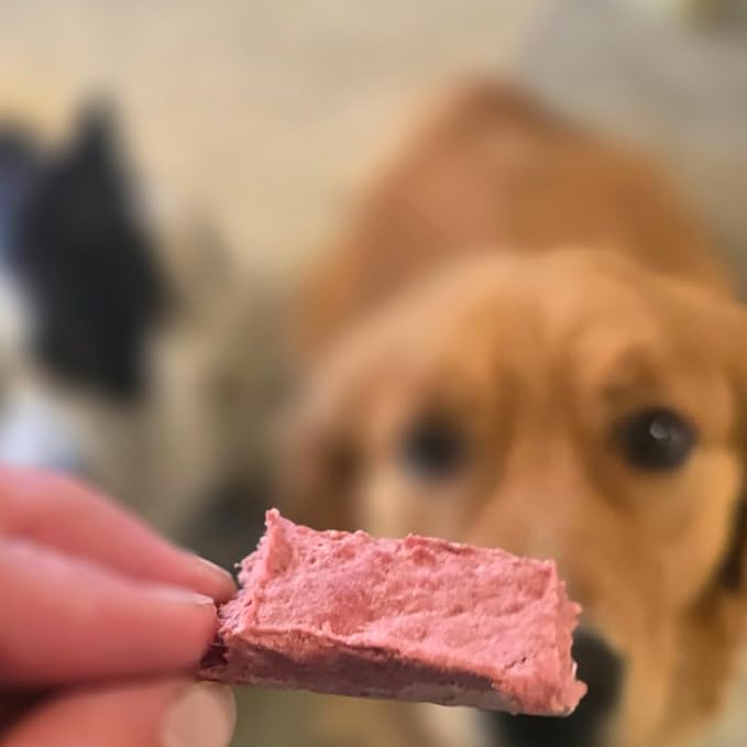 BJ'S RAW PET FOOD Freeze Dried Beef Heart Treats | High-Protein Pet Topper & Snack | Made in USA, 4-Ounce