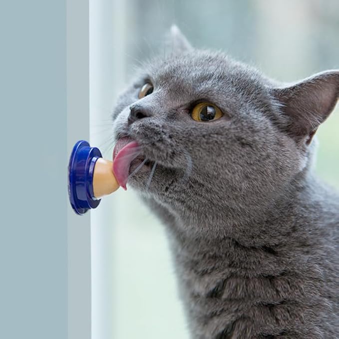 Vanzack Edible Catnip Treats for Cats - Protein-Rich Cat Snacks with Deep-Sea Fish Glue Hairball Support Chews Hydration Boosting Catnip Balls Medium Size 6 Pack