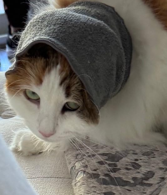 Pet Hoodz for Cats, Anxiety, Grooming, Ear Muffs, Cat Ear Protection, Calming, Ear Compression, Pet Hoodie, Cat Hoodie, Soft-Expandable Fabric for Cats, (Blue, MED)