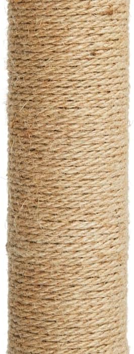 EveryYay by Petco Essentials Scratchin' The Surface Post with Scratcher Cat Toy, Grey, 26"