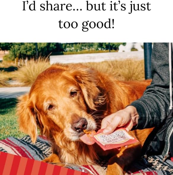 Natural Ketchup for Dogs, Human-Grade Dog Food Topper & Meal Enhancer, Sweet Potato, Carrot & Beef Bone Broth, USA Made, Packed with Vitamins & Fiber, 3 Pack, 1.5 oz Packets (4.5 oz Total)