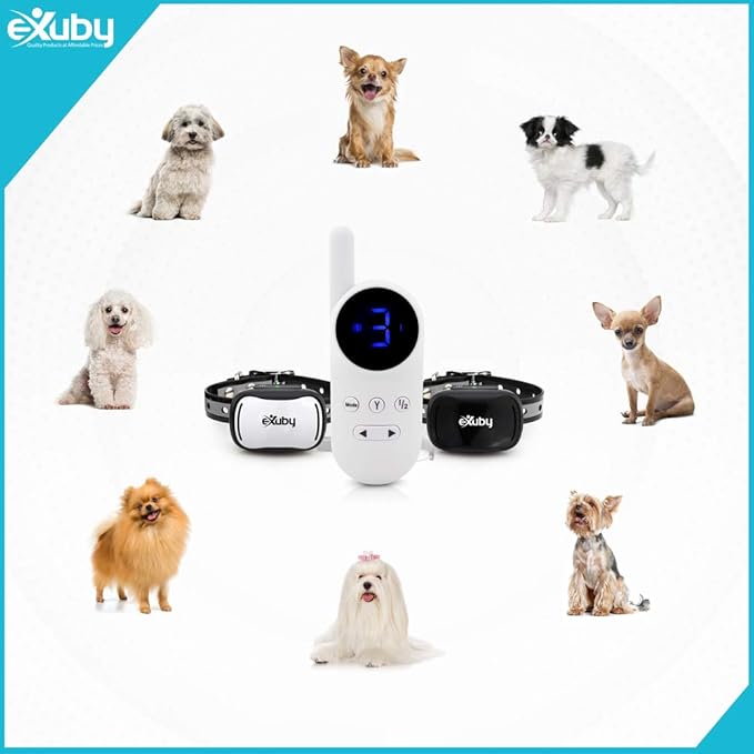 eXuby Tiny Dual Shock Collar - Smallest Collar on The Market - Sound, Vibration, Shock - 9 Intensity Levels - Pocket-Size Remote - Long Battery Life - Water-Resistant - White Remote