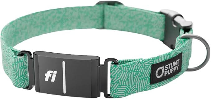 Stunt Puppy Dog Collar, Fi Series 3 and 3+ Ready, Petri Jade, Medium - Compatible with Fi GPS Device (Not Included)