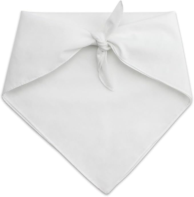 GRAPHICS & MORE are You Kitten Me Right Meow Cat Dog Pet Bandana