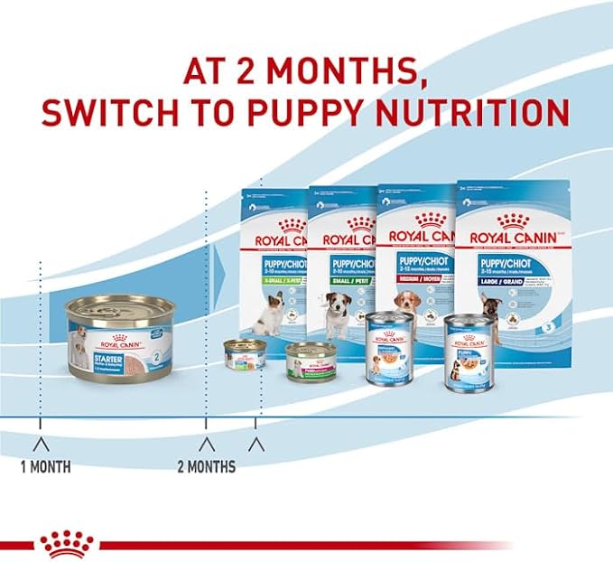 Royal Canin Size Health Nutrition Mother & Babydog Starter Ultra Soft Mousse in Sauce Dog Food, 5.1 oz., Case of 24