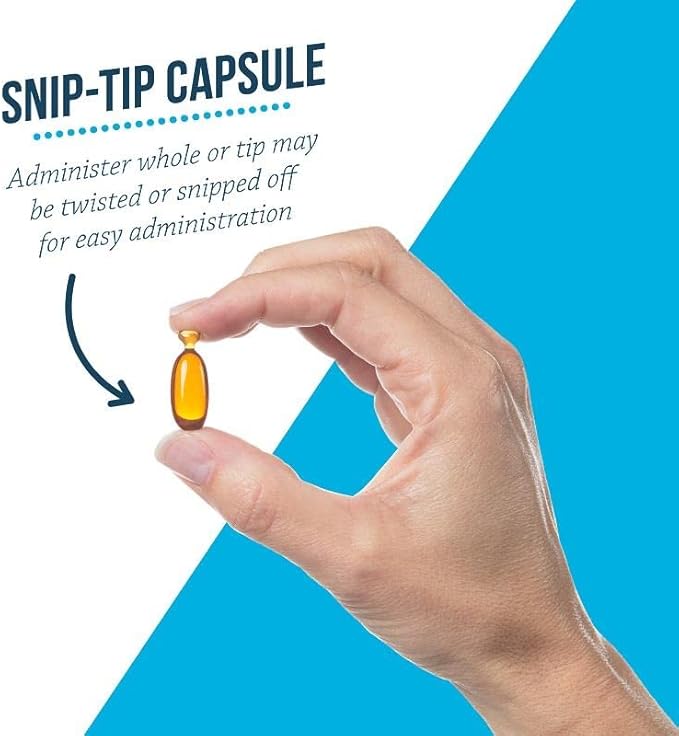 Free Form Snip Tips Omega-3 Fish Oil Liquid Supplement for Small Dogs and Cats, 60 Count (Pack of 2)