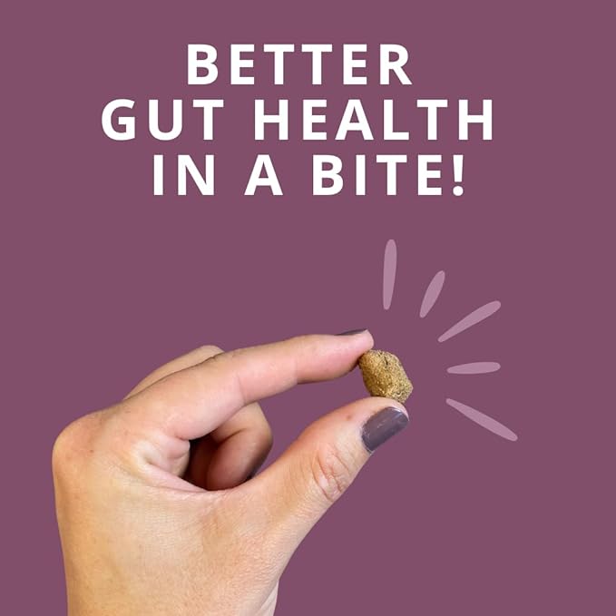 Steve's Real Food Protein Bites Gut Health Treats - Freeze-Dried Pet Treats for Cats and Dogs - Chicken Recipe - 4 oz