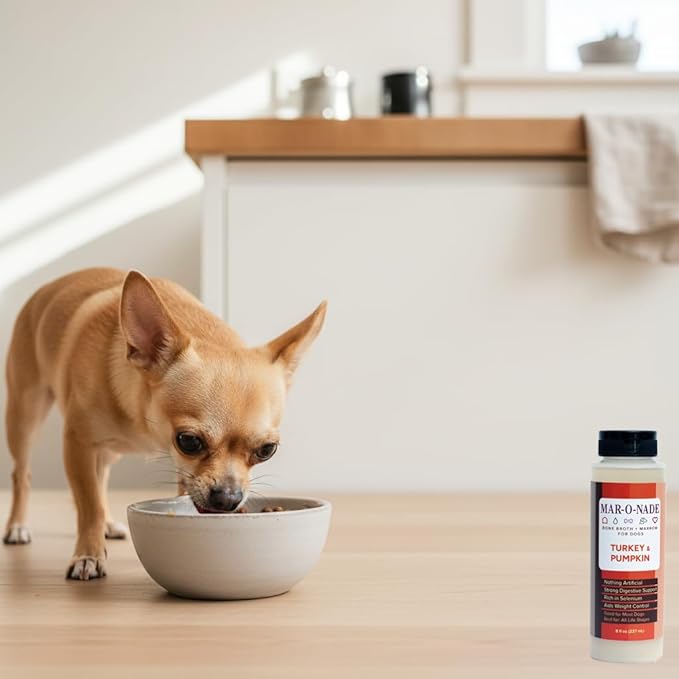 Bone Broth + Marrow Topper for Dogs - Turkey & Pumpkin, 8 fl oz - Grain-Free, AAFCO-Compliant, Small-Batch Nutritional Topper