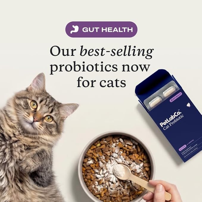PetLab Co. Probiotics for Cats, Support Gut Health, Occasional Diarrhea, Digestive Health & Immune Support - Easy to Use - 30 Count