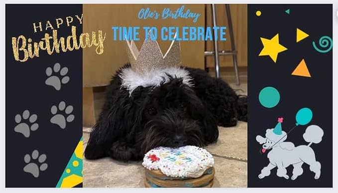 Dog Birthday Cake- Handmade Crunchy Cookie Treat- Made Fresh- Handmade with Love- Perfect Dog Party Gift Boxed, Iced and Decorated