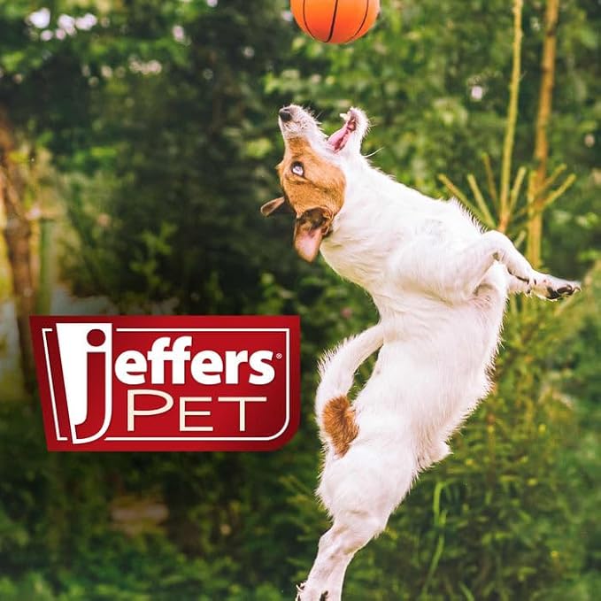 Jeffers Pet Tea Tree (Melaleuca) Dog Shampoo, 17 Oz - Medicated Style Grooming Wash for Dogs, Coconut Based, Soap & Detergent Free, Wintergreen Scent, for Home, Travel & Professional Use