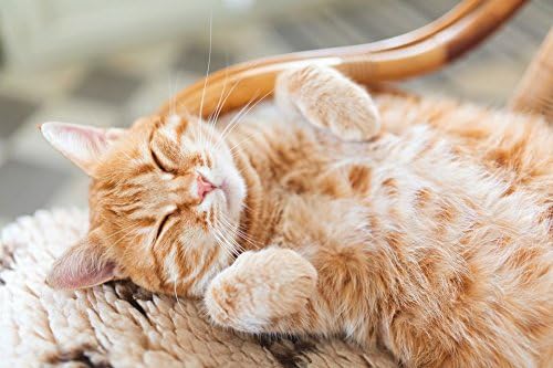 cat Immune Supplement - Cats Ultra Vitamins - Advanced Mineral and Vitamin Support - Premium Treat - Vitamin e for Cats - 270 Treats (3 Bottle)