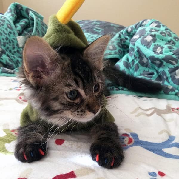 6 Month Piece Soft Nail Caps with Adhesive for Cat Claws - Bubblegum Pink Small