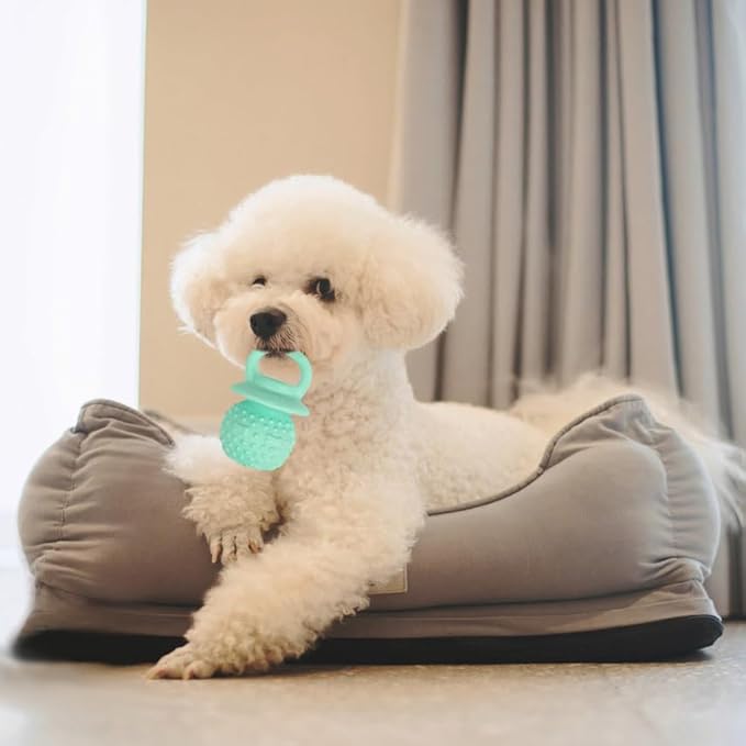 Latex Chew Dog Toys, Novelty Squeaky Pacifier Dog Toys for Teething Puppies, Mild Chewing Small, Medium, Large Dogs, Pet Dogs Supplies Newborn Puppy Gift (2 Pcs, Blue+Green)