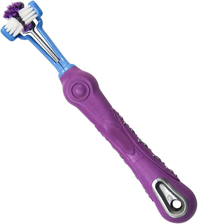 aqxreight 3 Sided Pet Toothbrush Multi Angle Dog Cat Toothbrush Pet Supplies for Oral Thoroughly Clean Pre 3 Sided Toothbrush3 Dog ToothbrushPet ToothbrushDog ToothbrushDog and (Green) (Purple)