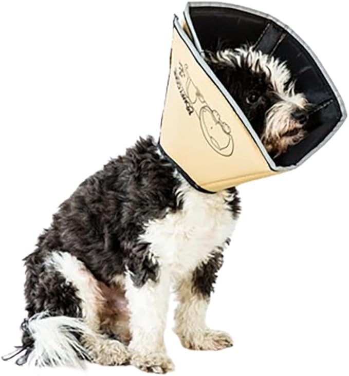 All Four Paws Comfy Cone Pet Cone for Dogs, Cats, Medium (Extra-Long), Tan - Comfortable Soft Dog Cone Collar Alternative for After Surgery, Wound Care, Spay, Neuter - Recovery Elizabethan-Collar