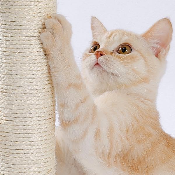 Multi-Functional Cat Scratching Post with Grooming Brush, Cloud Perch & Ball Track – Compact Cat Activity Toy for Small Cats