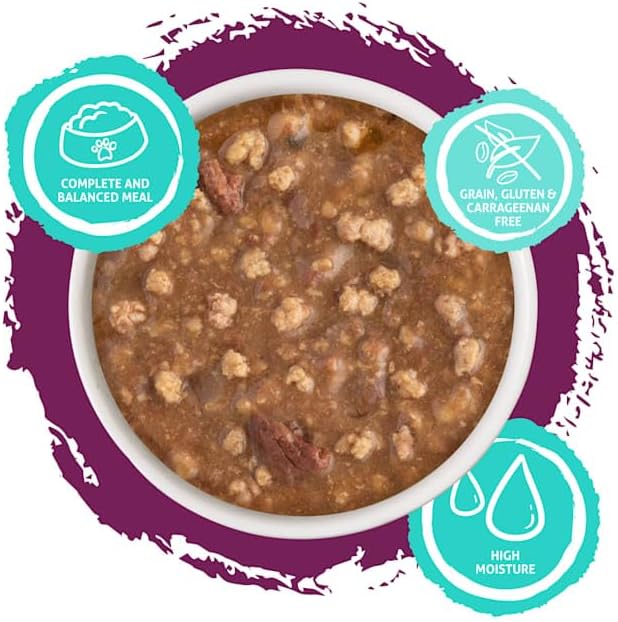Soulistic Moist & Tender Turkey Dinner in Gravy Wet Cat Food, 3 oz., Case of 12
