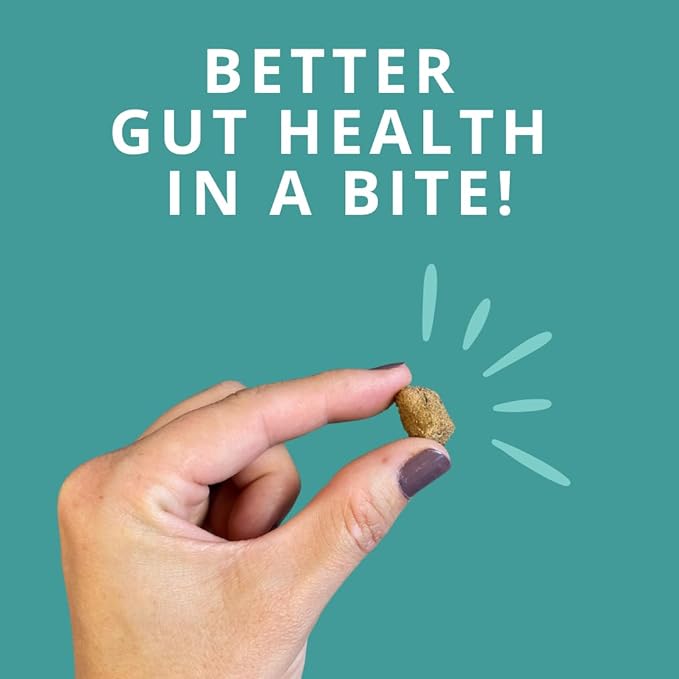 Steve's Real Food Protein Bites Gut Health Treats - Freeze-Dried Pet Treats for Cats and Dogs - Lamb Recipe - 4 oz