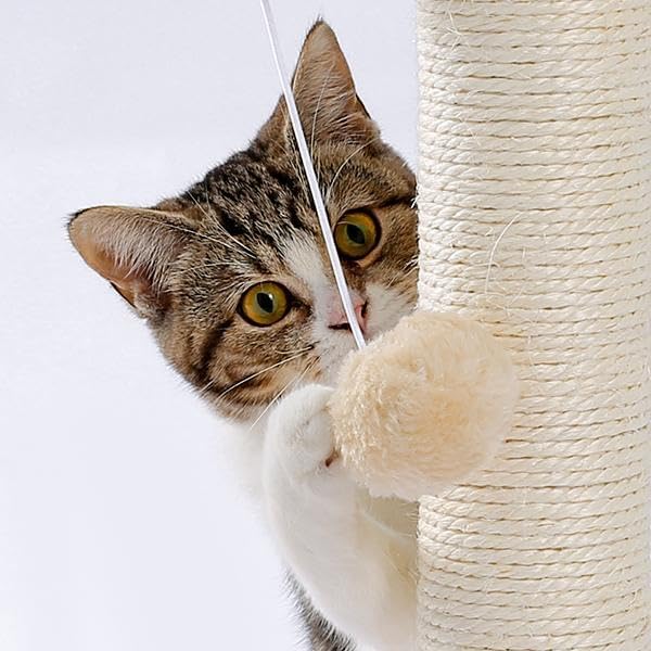 Multi-Functional Cat Scratching Post with Grooming Brush, Cloud Perch & Ball Track – Compact Cat Activity Toy for Small Cats