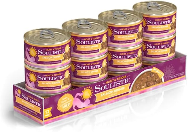 Soulistic Moist & Tender Salmon Dinner in Gravy Wet Cat Food, 3 oz., Case of 12