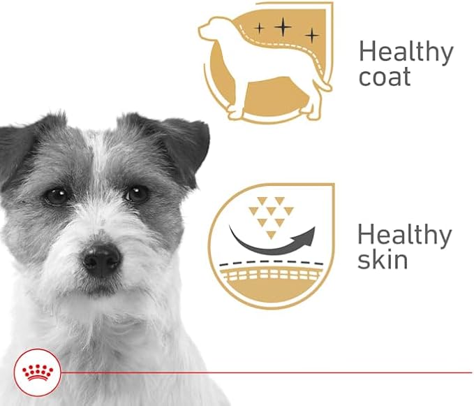 Royal Canin Canine Health Nutrition Beauty Adult Loaf in Sauce Canned Dog Food, 5.2 oz., Case of 24