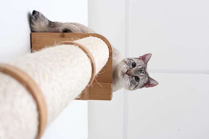 CatastrophiCreations 3-Tier Sisal Climbing Pole