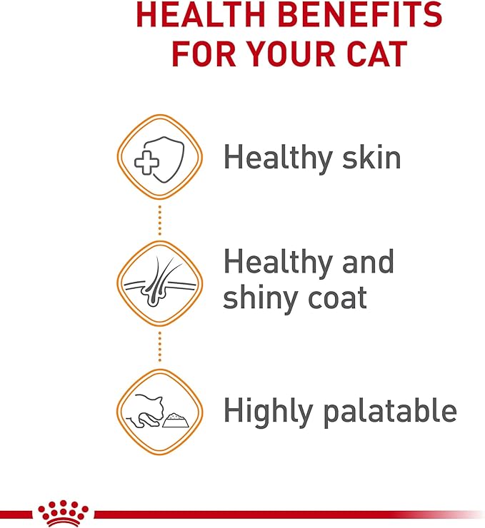 Royal Canin Feline Care Nutrition Hair & Skin Care Adult Loaf in Sauce Cat Food, 5.1 oz (Pack of 24)