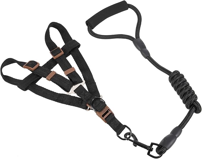 GANAZONO Dog Harness Leash Set with Nylon Leash 1.0x120cm Reflective Pet Walking Supplies for Outdoor Use Adjustable Puppy Vest for Small and Medium Dogs