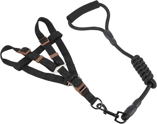 GANAZONO Dog Harness Leash Set with Nylon Leash 1.0x120cm Reflective Pet Walking Supplies for Outdoor Use Adjustable Puppy Vest for Small and Medium Dogs