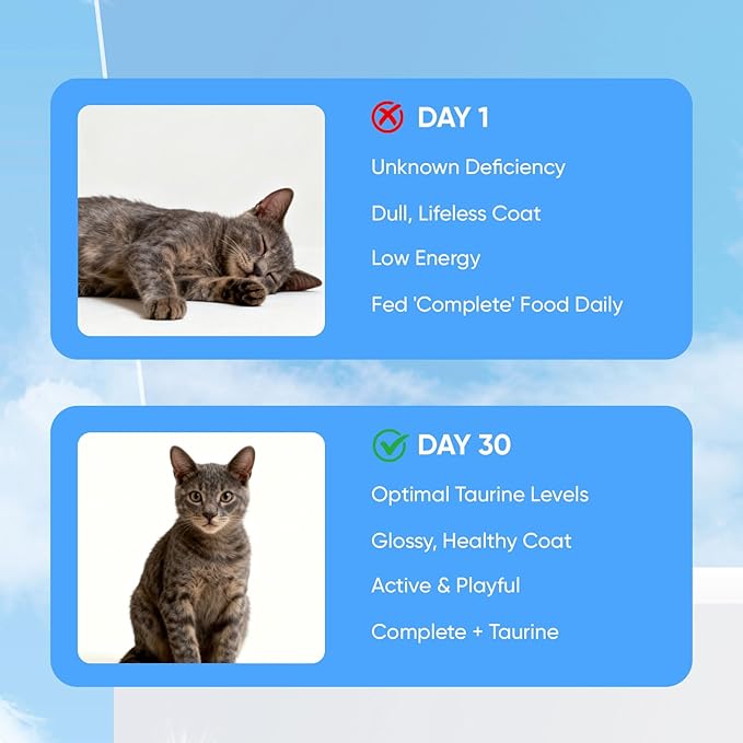 KittySupps Taurine Supplement for Cats, Kitty Supps Taurine Powder, Supports Heart & Eye Health, Boost Energy & Vitality, Mix in Food, Grain-Free Formula, 200 Grams