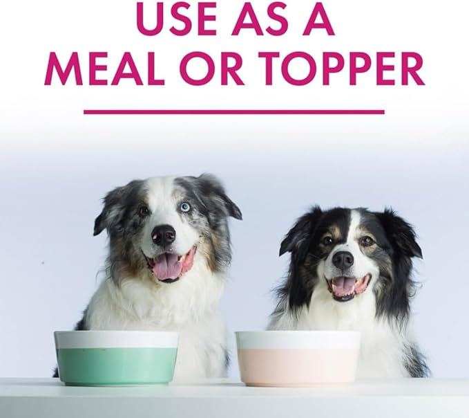 Member Marks Turkey Stew with Vegetables Wet Dog Food, 11 oz., 24 Boxes Pack-1